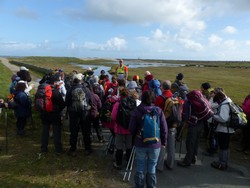 Cotentin