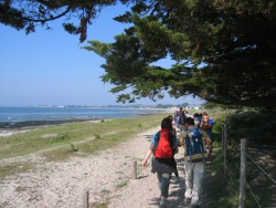 Golfe du Morbihan