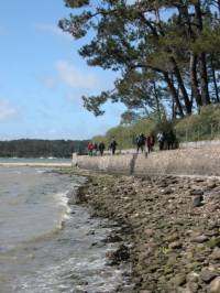 Golfe du Morbihan