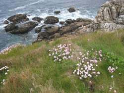 Quiberon