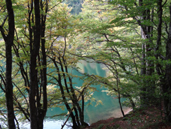 Lac des Perches